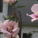 billanddansblog avatar