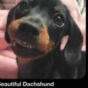 billyflynnsposts avatar