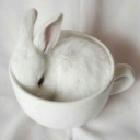 bimbofaildyke avatar