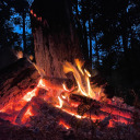 bingowashisnameo avatar