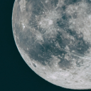 bippity-boppity-bye avatar