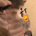 birby-furby avatar