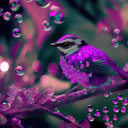 bird-likes-art avatar