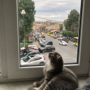 birdenizciruhu avatar