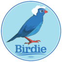 birdiiesanders-blog avatar