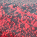 birdstreesbees avatar