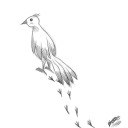 birdysteps avatar