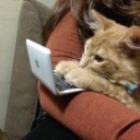 birmartikadarozgur avatar