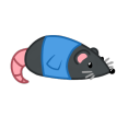 bisexual-stupid-rat-with-bed avatar