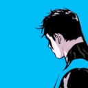 bisexualnightwing avatar