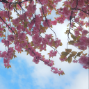 bitchofdarkness avatar