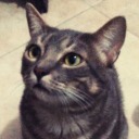 bizarroforwar avatar