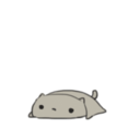 bl4ck-gl1tt3r avatar