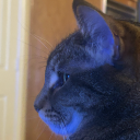 bl4ckoutpvmnt avatar