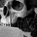 black-rose-daemon avatar