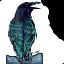 blackandblueraven avatar