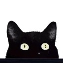 blackasmidnightcats avatar