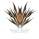 blackbeastphotography avatar