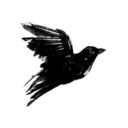 blackbirdbrokenwings avatar