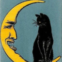 blackcatsoncrescentmoons avatar