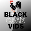 blackcockvidz avatar