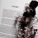 blackdahlia-nevermore avatar