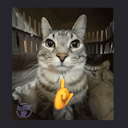 blackeneduniverse avatar