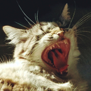 blackeyedprince avatar