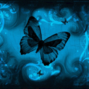 blackgiganticbutterflies avatar