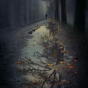 blackheartbrightlove avatar