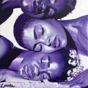 blacklacerabbit avatar