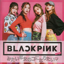 blackpink-goddess-blog avatar