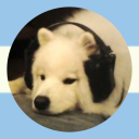 blackshuckles avatar