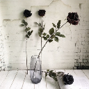 blacksoullife avatar