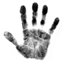 blackwhitered avatar