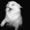 blackwidowsoul avatar