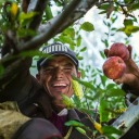 blauer-reiter avatar