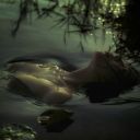 blazing-nymph avatar