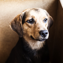 blessmeultima00 avatar