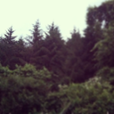 blessyrlittleheart avatar