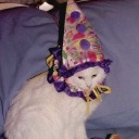 blinkingsideways avatar