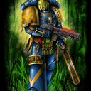 blogofthegloriousmongoose avatar