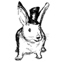 bloodlustingrabbit avatar