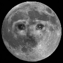 bloodytearysweatyhell avatar