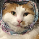 blooferladies avatar