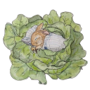 blooming-daydreams avatar