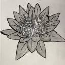 bloomingironlotus avatar