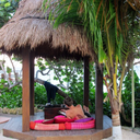 blue-eucalyptus avatar