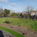 blue-ridge-mountians avatar