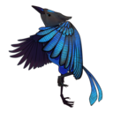 blueaubrey avatar